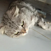 T/g nè mí bẹn :3