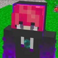 hiha enderman