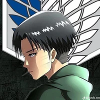 levi