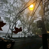 song ca