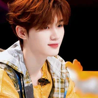 Đinh Trình Hâm