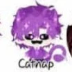 hiha catnap[