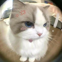 Nhìn gì đấy bạn=)