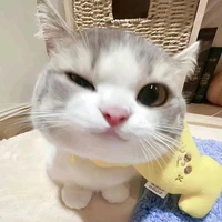 Tuhn