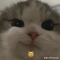 kiên