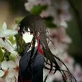 Sylyvia White Twilight nu9
