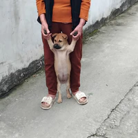 Quản lí chung cư