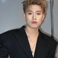 dương domic