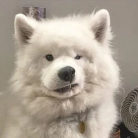 luki