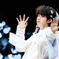 Vương Lỗ Kiệt 