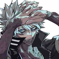 Touya todoroki 