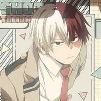 Shouto todoroki 