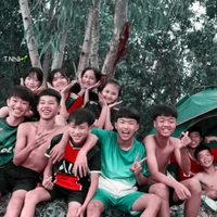 Cả team(-các thành viên)