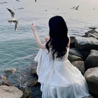 Vi Anh Tử