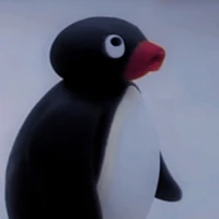 Cáo nèeee