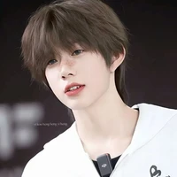 Trần Dịch Hằng