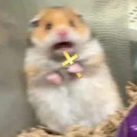 Tác giả mê Drarry