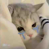 Nhỏ t/g