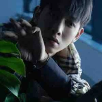 Nguyễn Trường Sinh 
