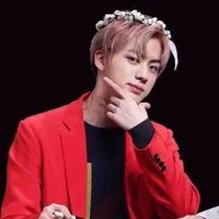 Song Tuyên ( Jin )
