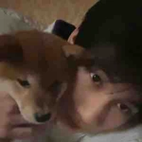 Trương Chân Nguyên 