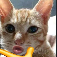 Tác giả đây 🥴