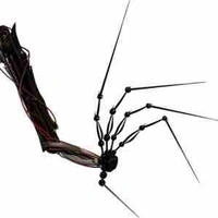 The Prototype (1006)