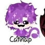 Catnap
