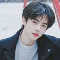 Lục Chi Nghị/Nam Thần