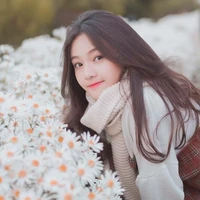 Vận Nha/Vợ Trí Huy