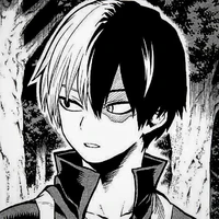 Todoroki Shoto - Shoto
