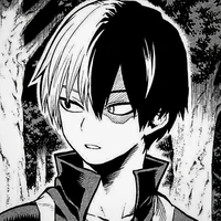 Todoroki Shoto - Shoto