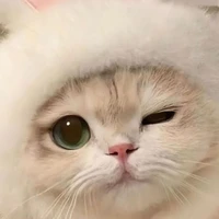 hệ thống xxx