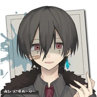 kaisu 214