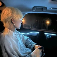 Triệu Phó Hoàng Nam