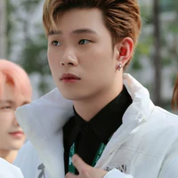 dương domic