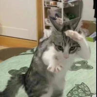 cả lũ