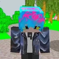 Hiha_Des