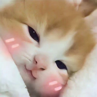 tác giả thẳng tắp à 🏳️‍🌈😇🤩😽🤡‼️