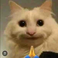 Hệ thống 203(méo)