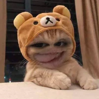 hệ thống