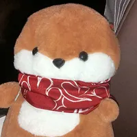 ebe tg của RHYDER