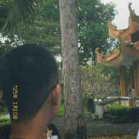 Long (Bông)
