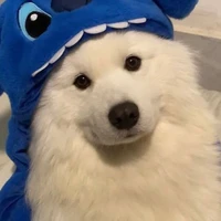 MinSu