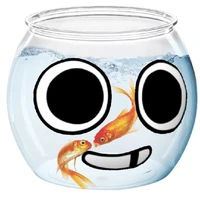 Finn(Fiin)