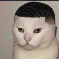 Nhỏ t/g hay sai chính tả