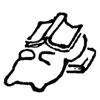 nvp