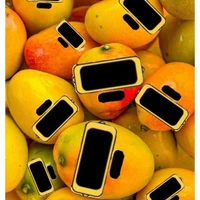 gan đô