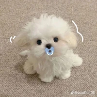 dẫn truyện