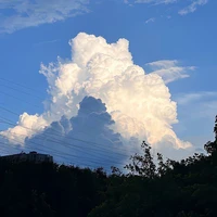 Tác giả xinzz💕